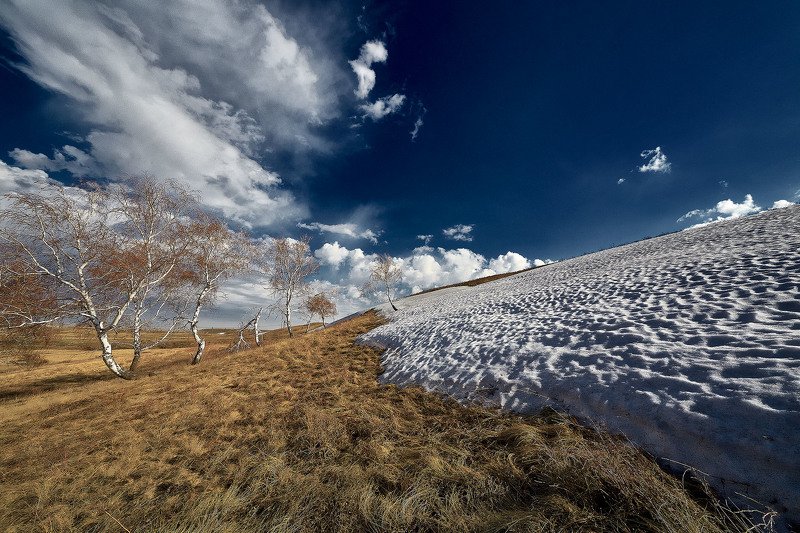 Противостояние. фото превью