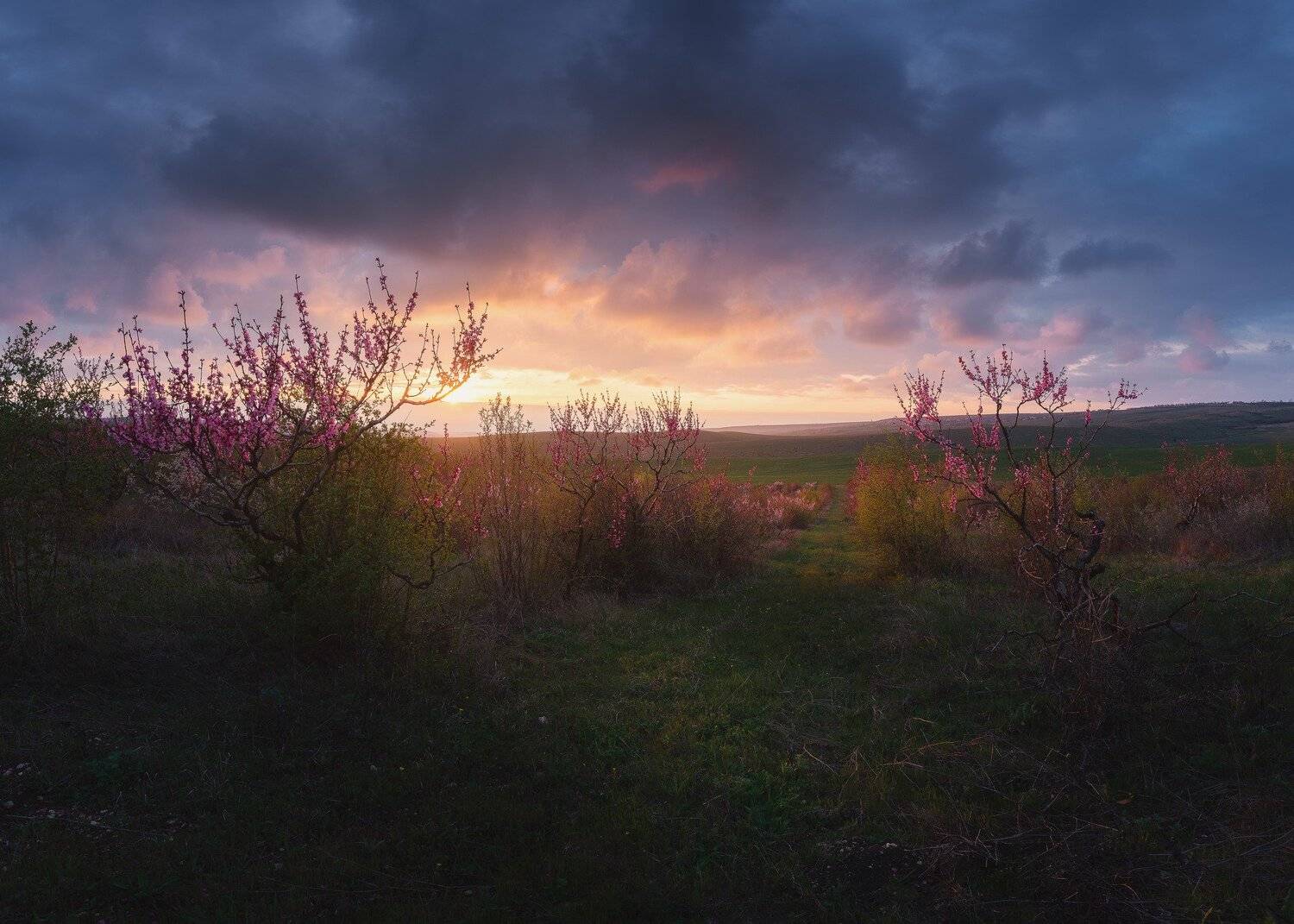 , Oleg Feofanov