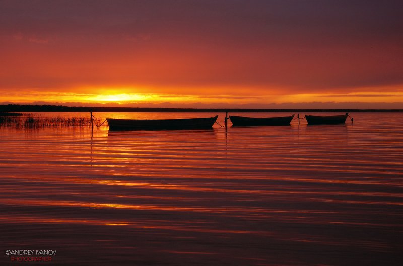 пейзаж, природа, Плещеево озеро, Переславль-Залесский, закат Плещеево озеро фото превью