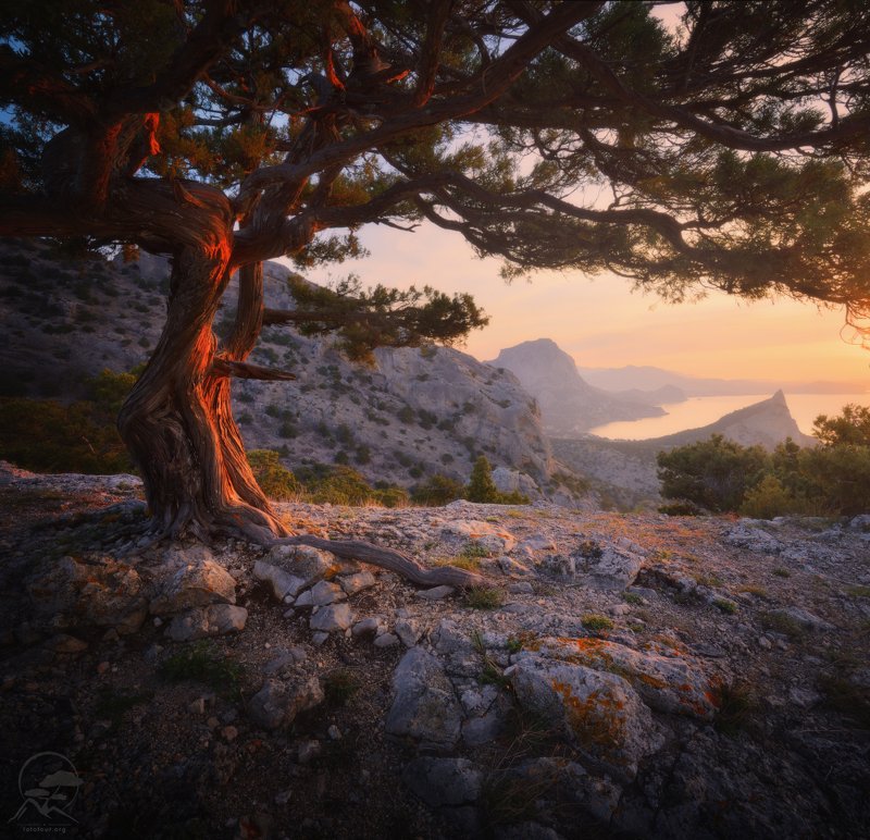 пейзаж, природа, море, крым, утро Новый Свет фото превью