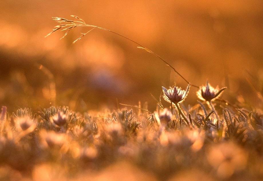 , Андрей Гусаченко