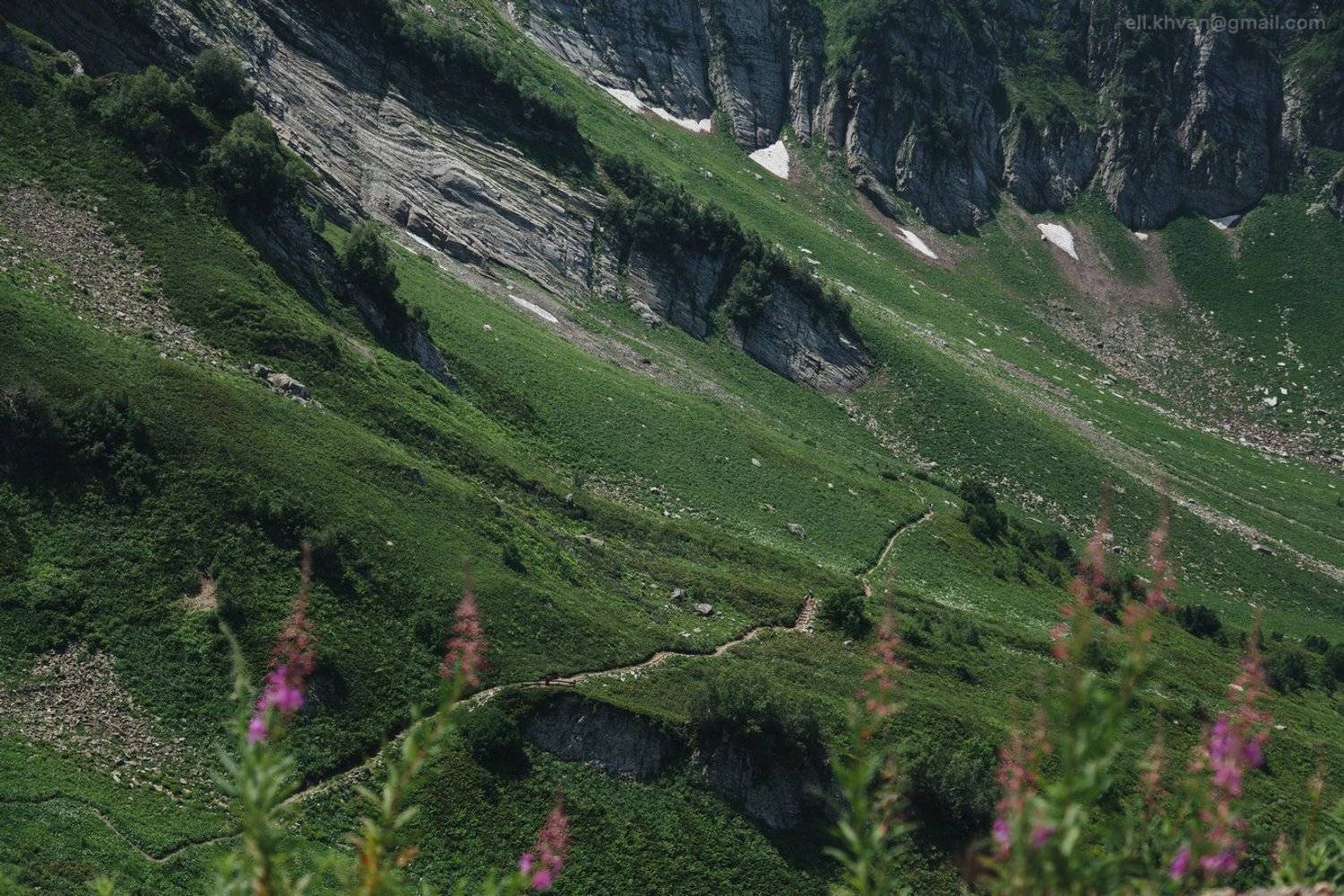 , Элина Хван