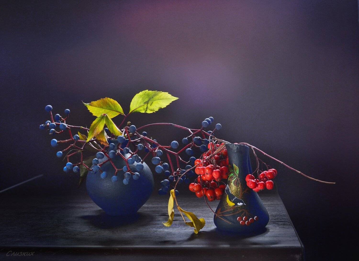 этюд,фантазия, свет,рябина,виноград,осень, Инаида