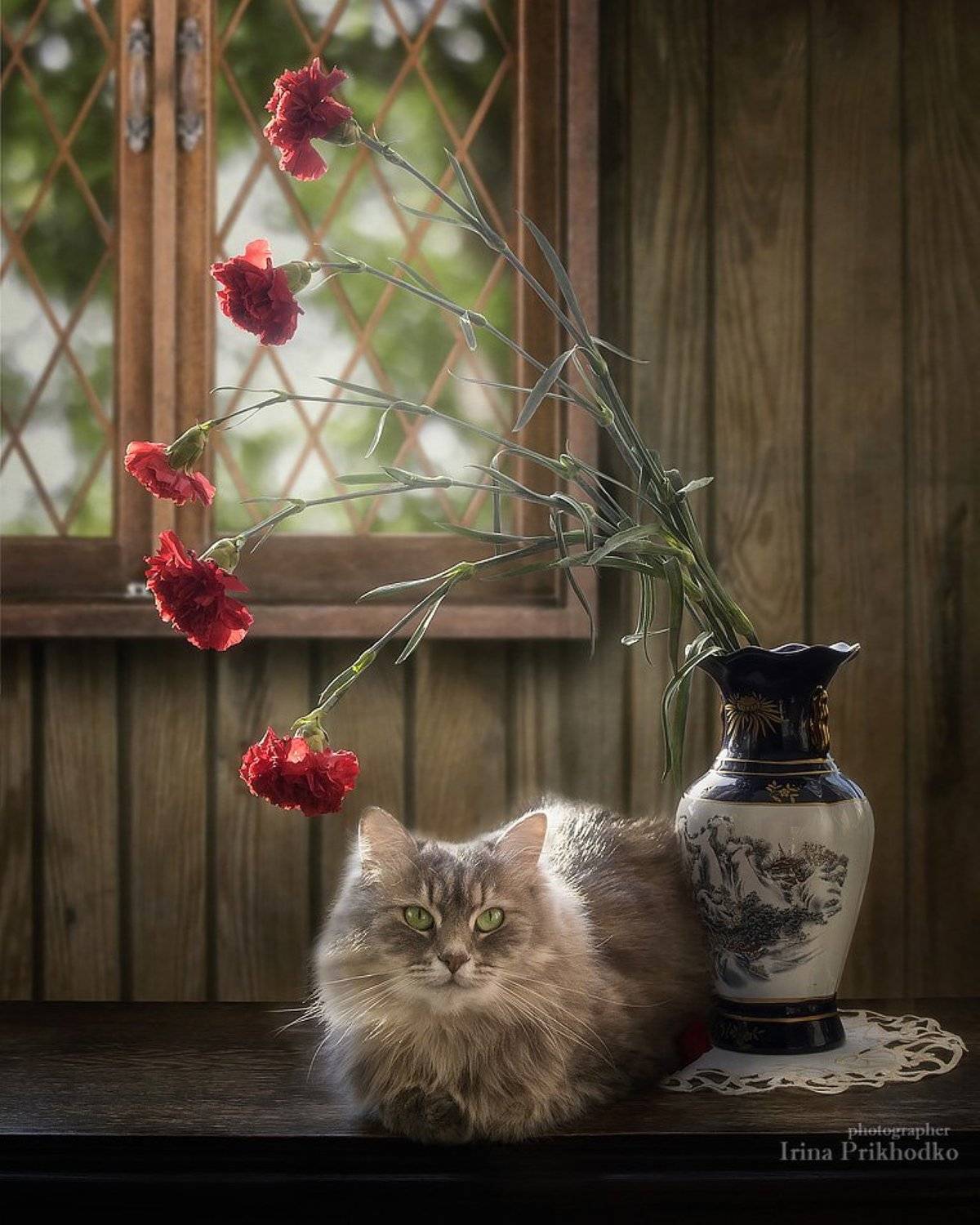 натюрморт, котонатюрморт, кошка масяня, цветы, гвоздики, Ирина Приходько