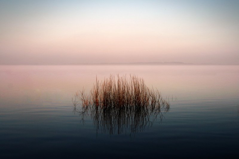 gomel belarus река беларусь гомель Лёгкая небритость фото превью