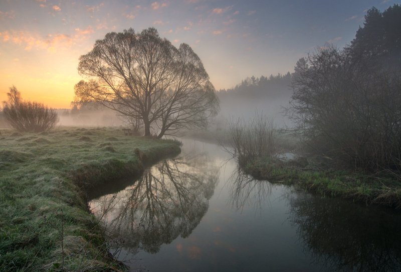 Утро... фото превью