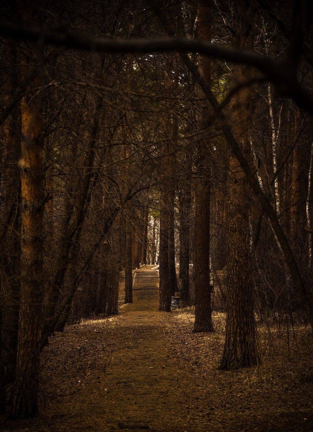 , Алексей Ознобихин