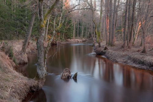 Весенний свет