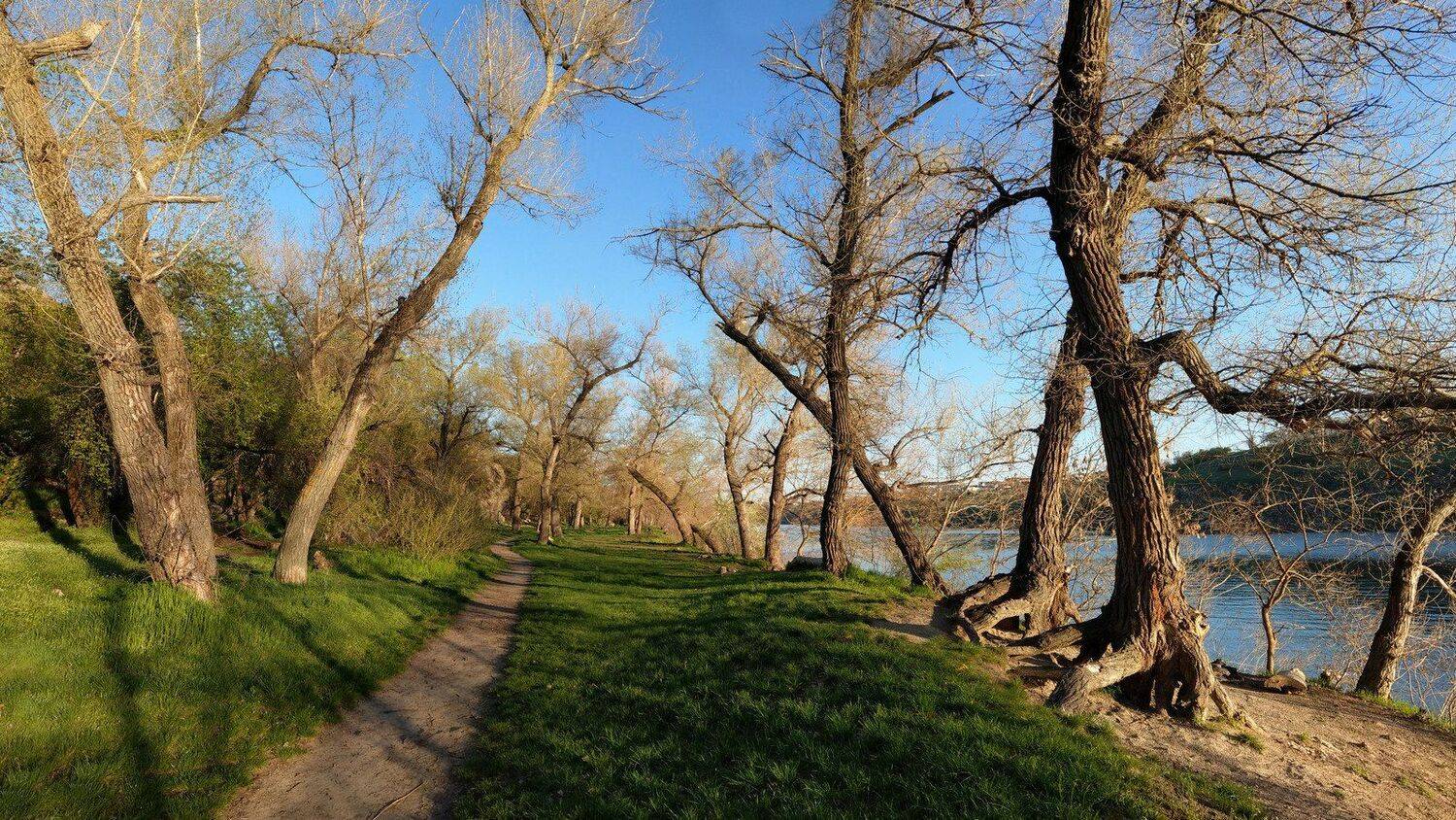 весна,вечер,дорога,зелень,деревья,пейзаж,природа, Сергей Богачёв