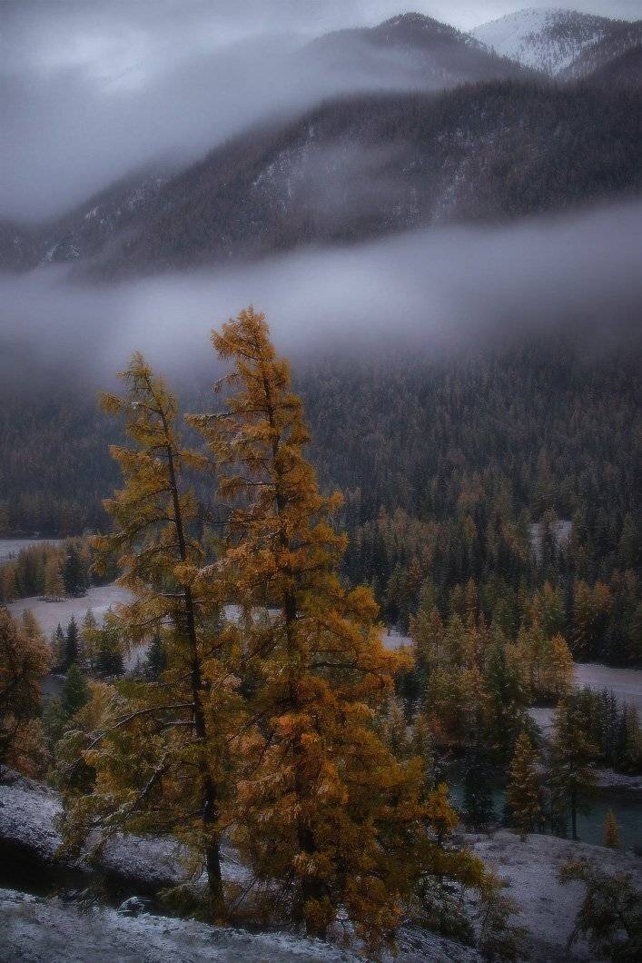 алтай, горы, Владимир Ляпин