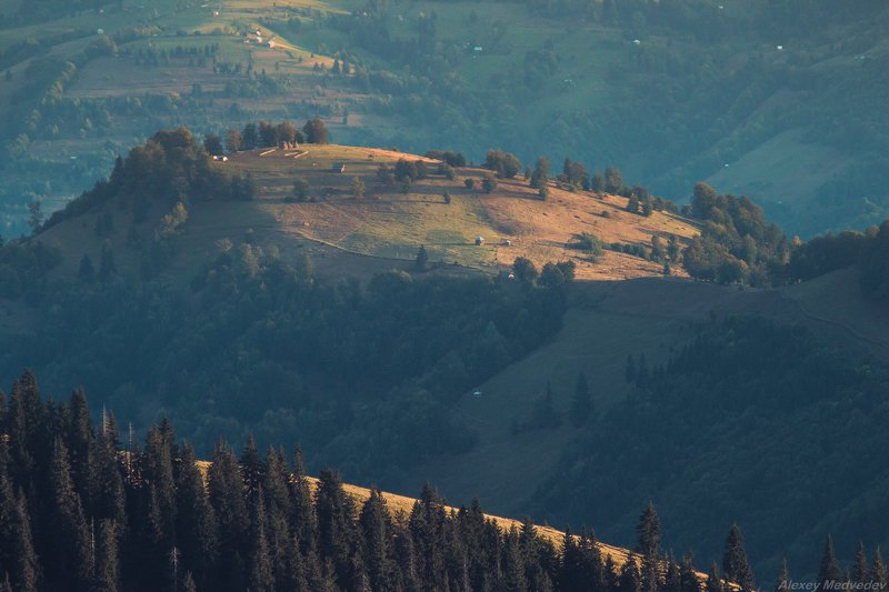 горы, карпати, карпаты, мармароси, мармаросы, попіван, мармы, maramures, carpathians, mountains, ukraine Солнечные луга фото превью