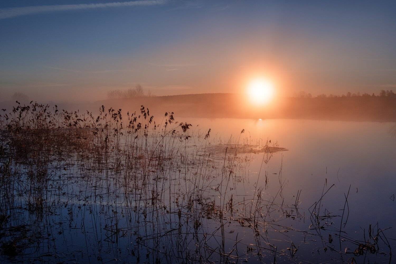 волга, соболево, пейзаж, рассвет, пруд, покой, солнце, туман, вода, отражения, Андрей Чиж