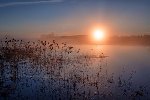 Весенний рассветный покой
