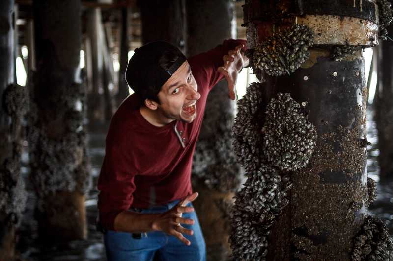 venice, santa monica, beach, Mussels фото превью