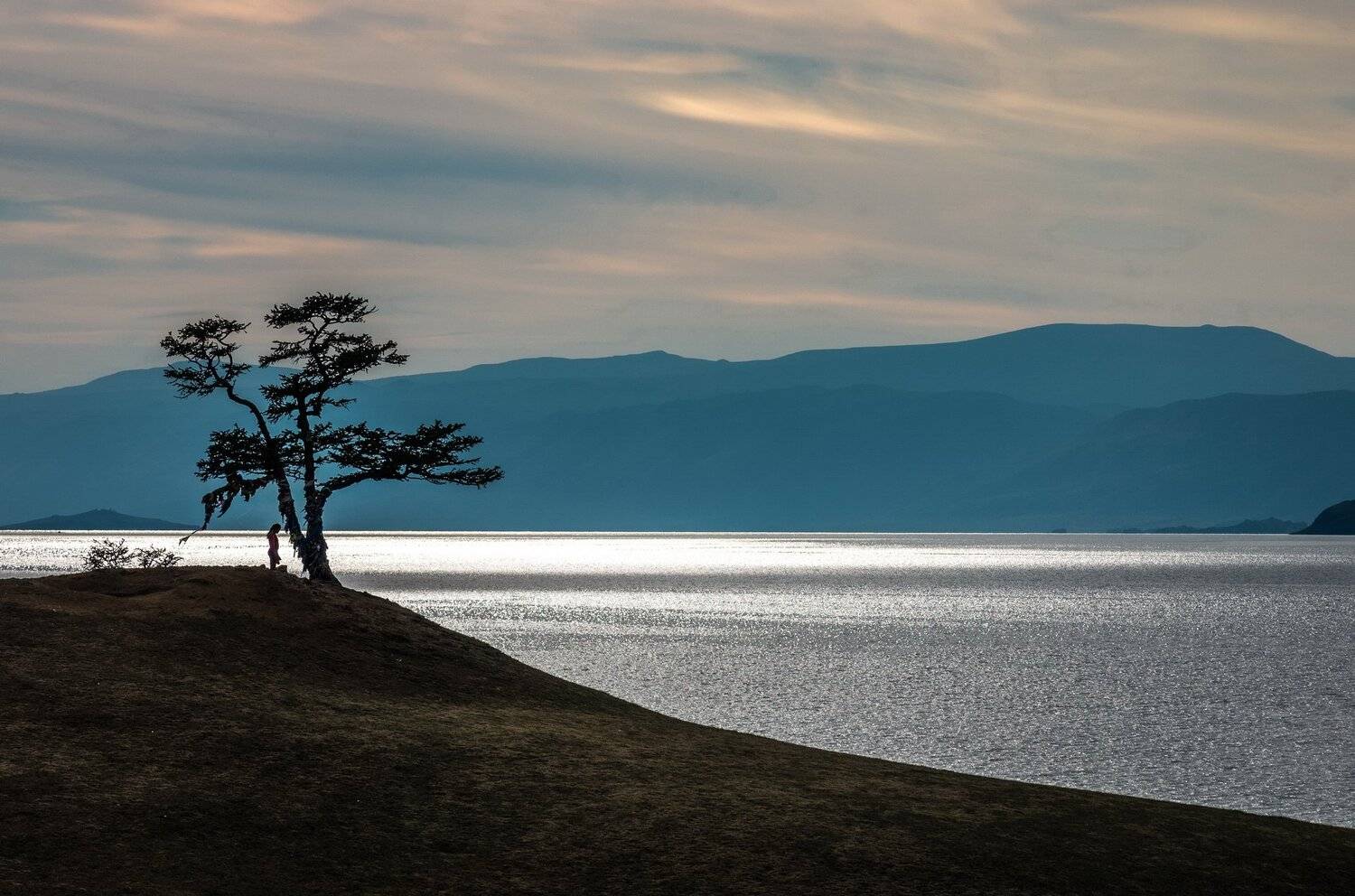 сибирь, озеро байкал, остров ольхон, дерево, лиственница, древо желаний, ник васильев, Николай Васильев