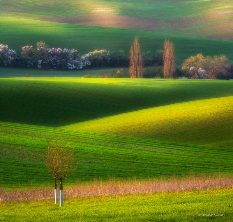 пейзаж, моравия, весна Moravian spring... фото превью