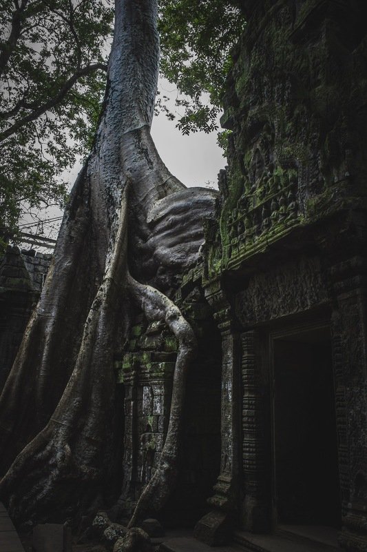 Камбоджа фото превью