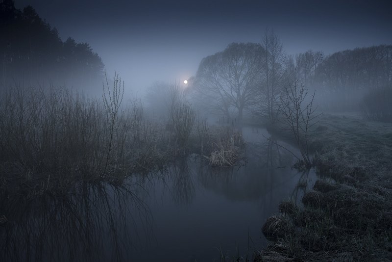 Лунная ночь в Апреле... фото превью