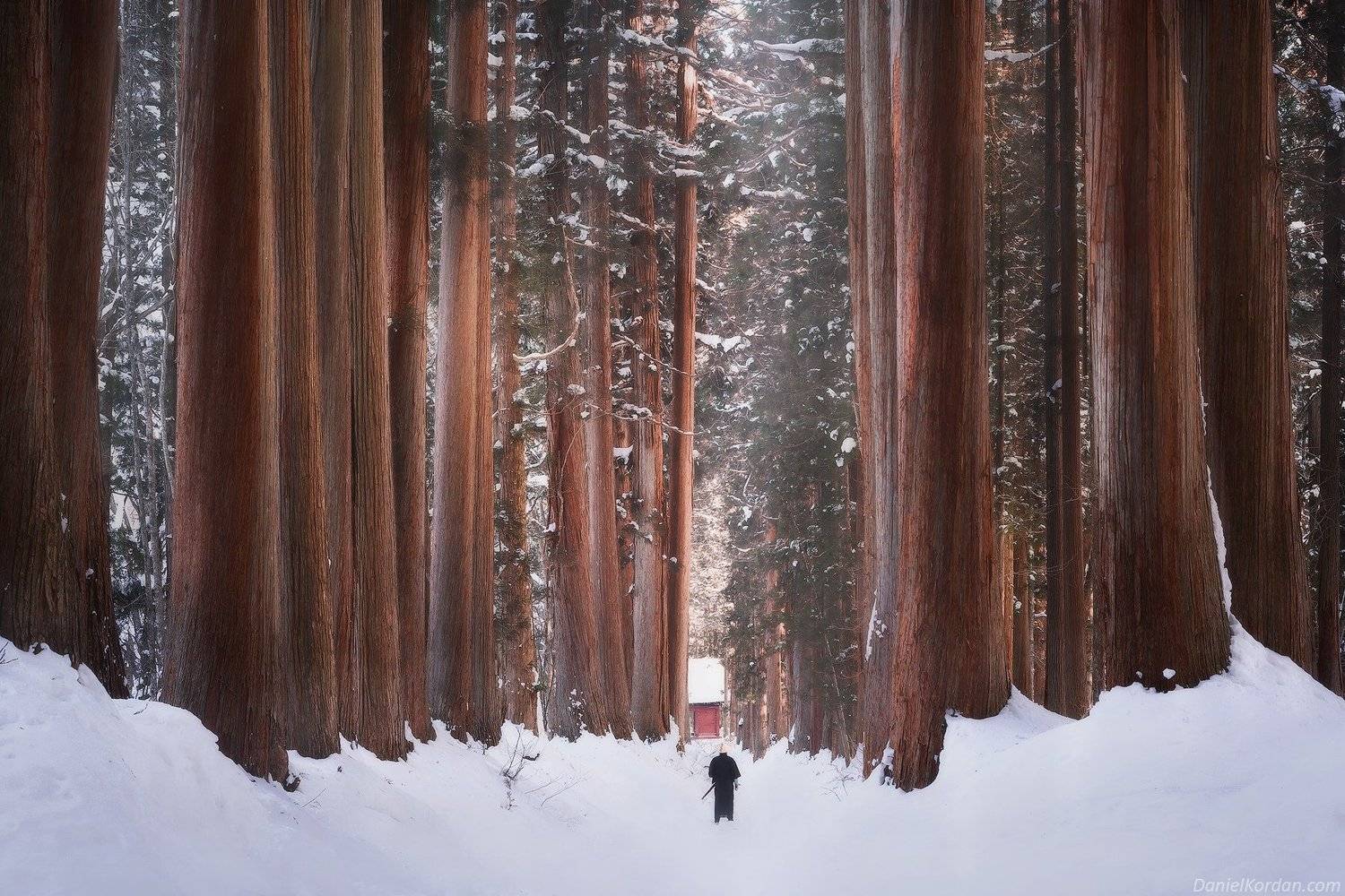 Japan, Япония, Даниил Коржонов