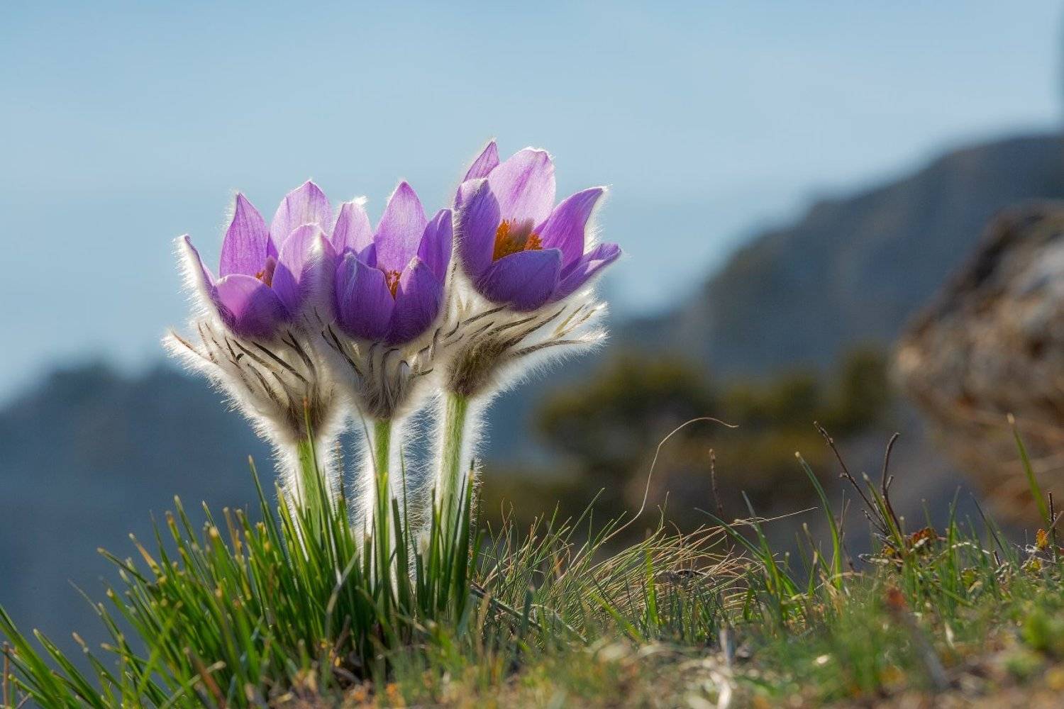 , Евгений Ерохин