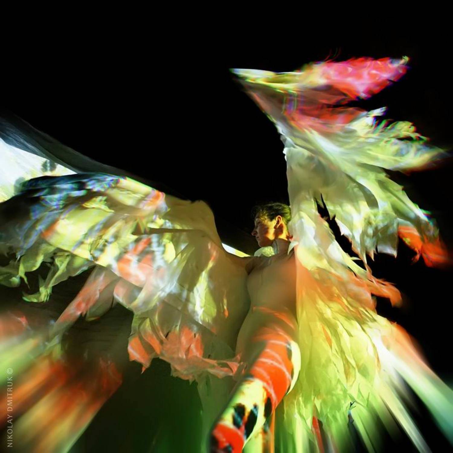 портрет, николай дмитрук