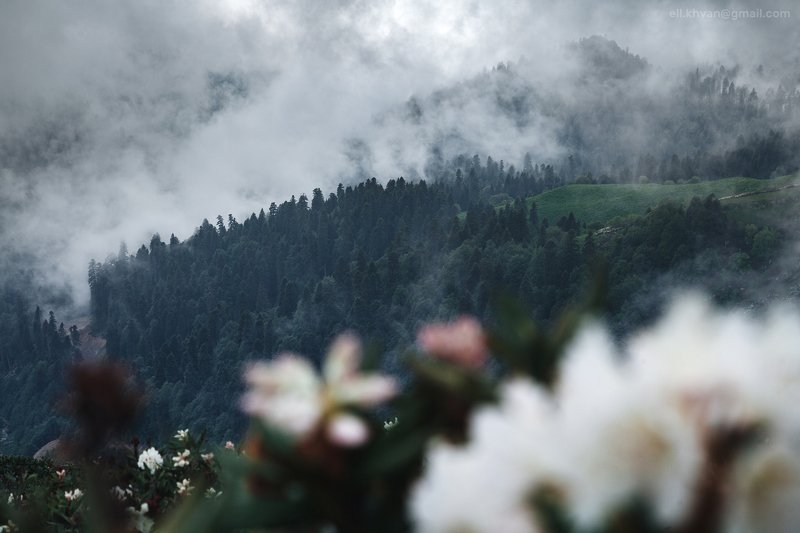 Июнь в Красной Поляне фото превью