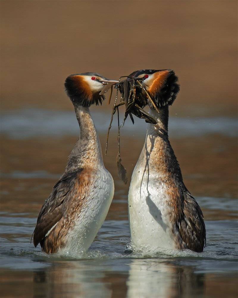 , Валерий Субачев