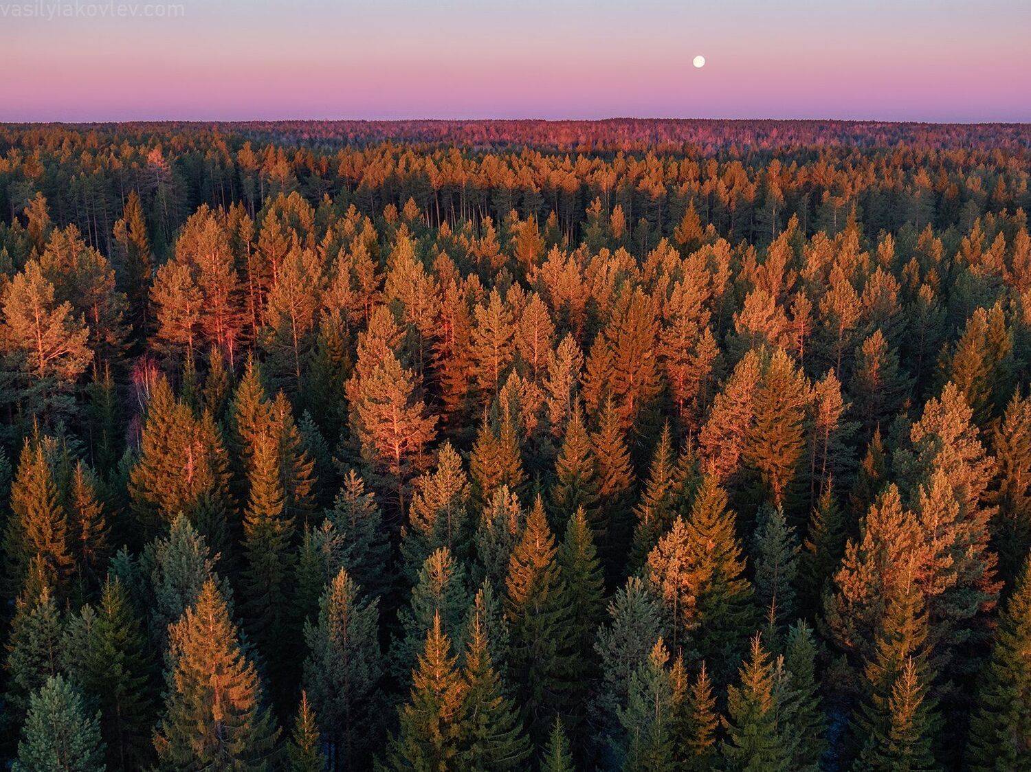 , Василий Яковлев