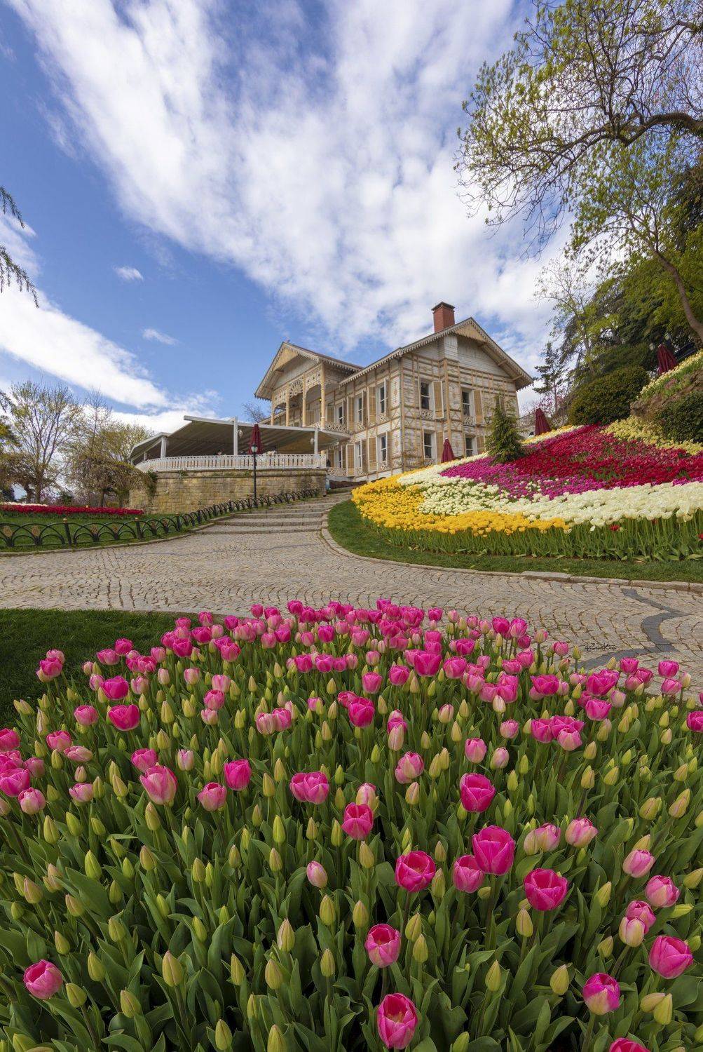 #landscape #emirgan #istanbul #tulip #flower, Ali Zeki Kaya