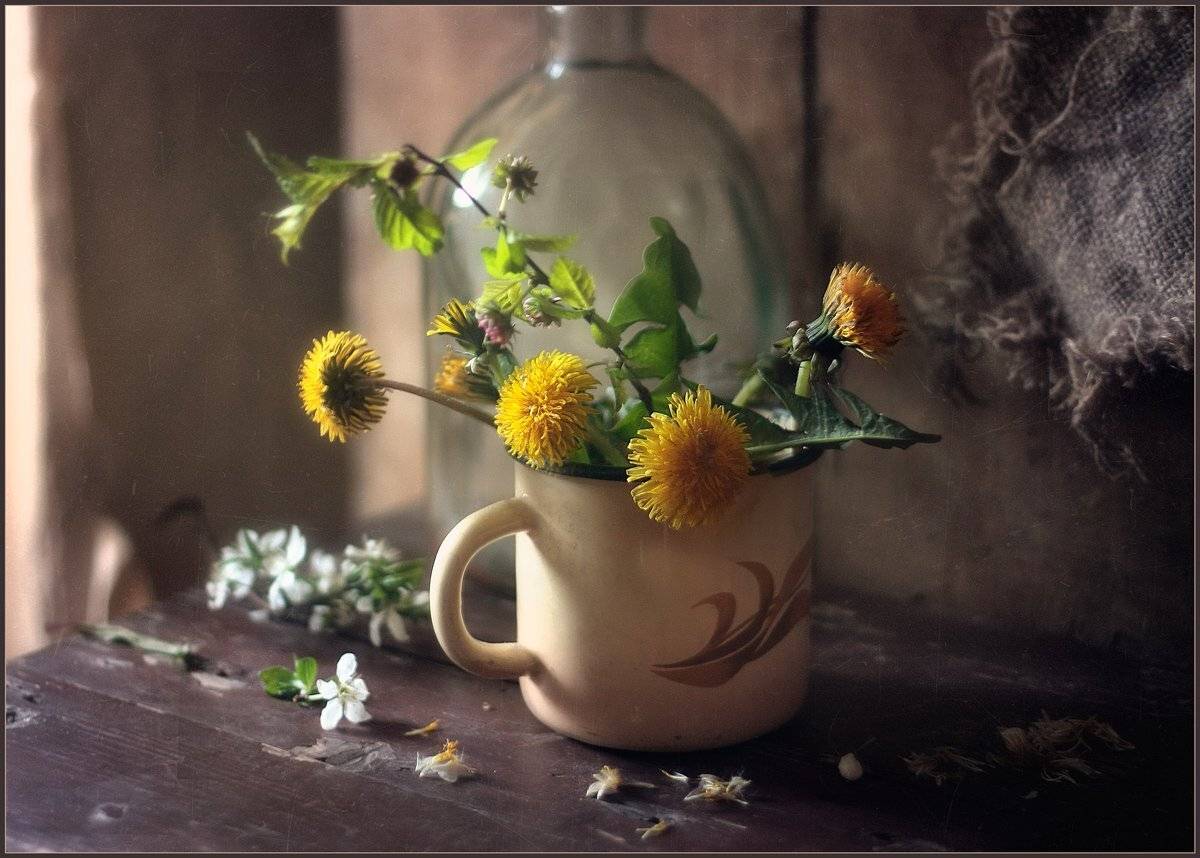 , Александр Хромеев