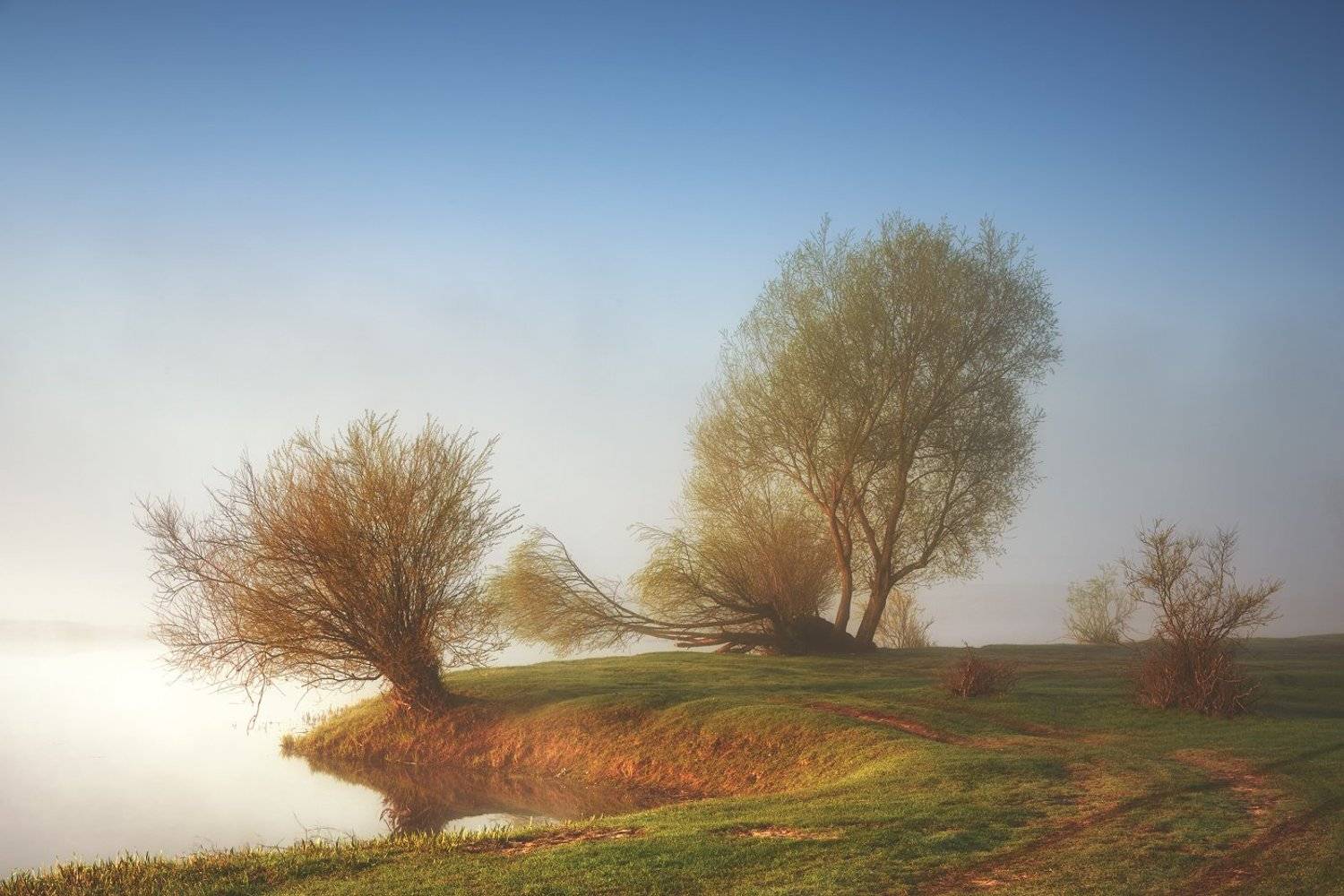 , Bartłomiej Kończak