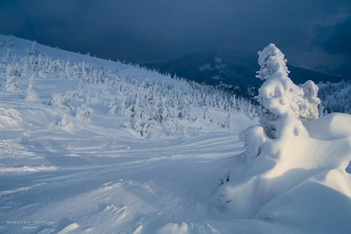 #landscape, #nature, #scenery, #forest, #wood, #autumn, #mist, #misty, #fog, #foggy, #river, #waterfall, #longexposure, #mountain, #vitosha, #bulgari, #aтуман, #лес, #oсень #горы, Леонид Морозов