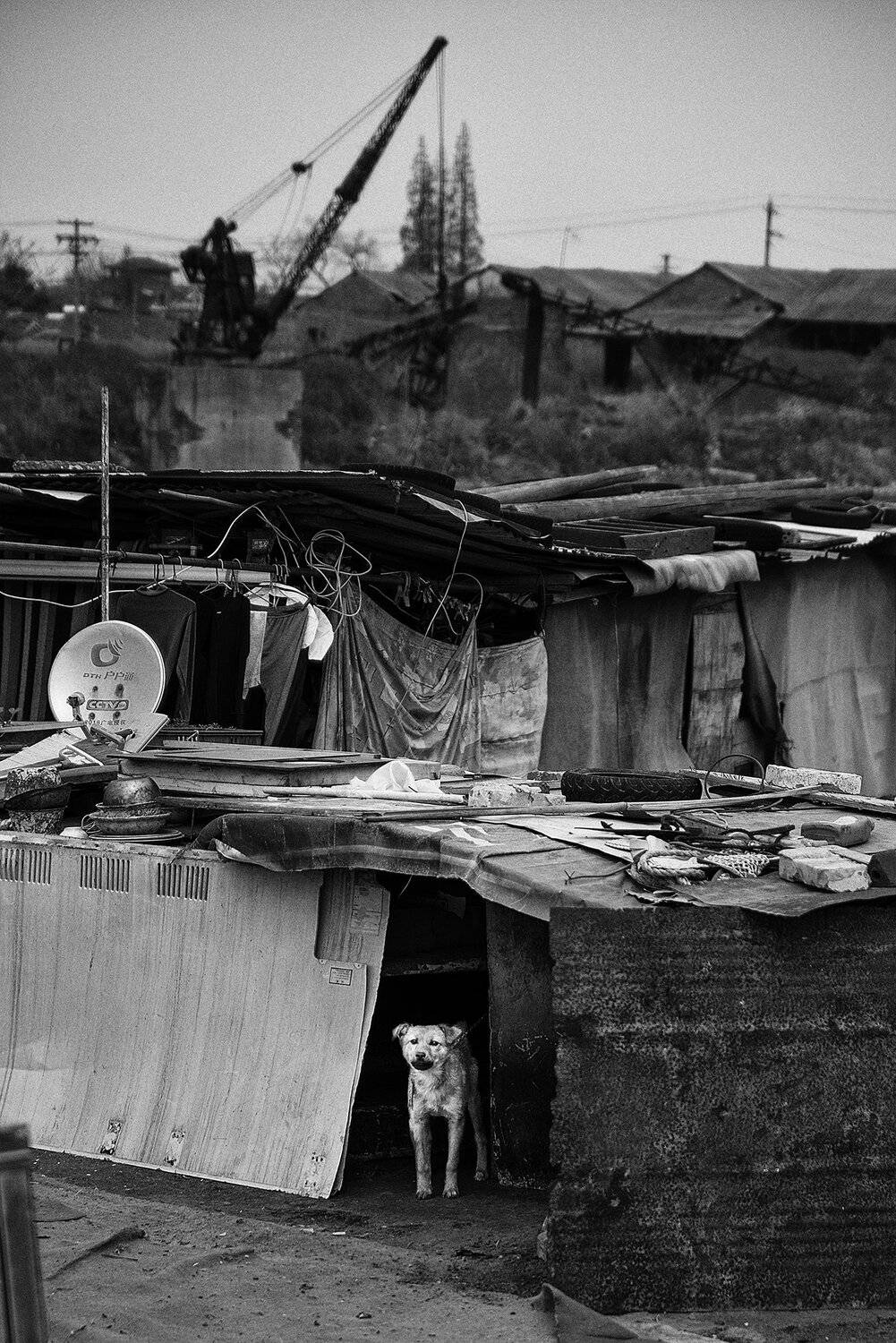 black and white , street, yajun.hu