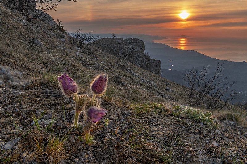 Рассвет на Демерджи. фото превью
