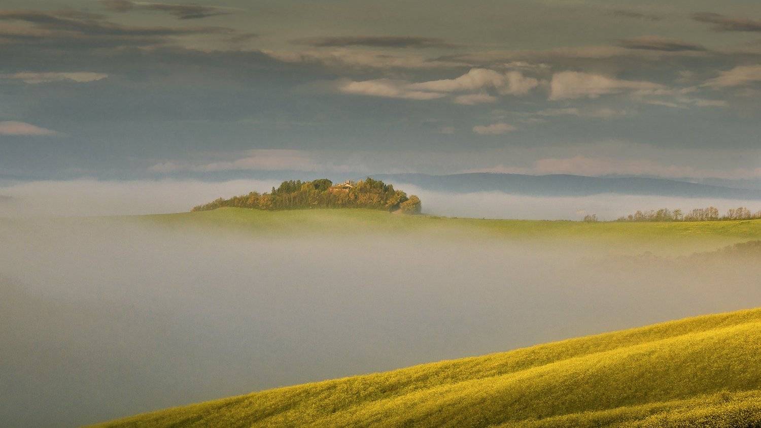 tuscany, тоскана, путешествие по тоскане, fog,morning, tuscany photos landscape, весенняя тоскана, туманы тосканы, пейзажи тосканы, tuscany landscape photography, Татьяна Ефименко