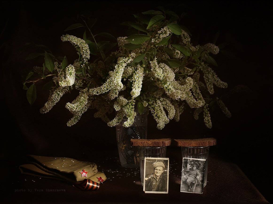 натюрморт 9 мая черемуха, Вера Шамраева