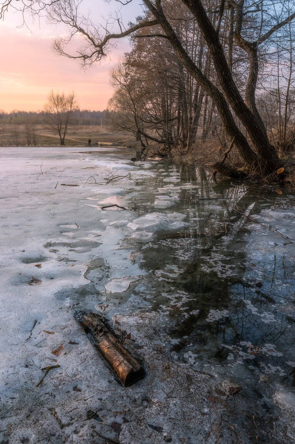 природа, пейзаж, заказт, весна, Мартыненко Дмитрий