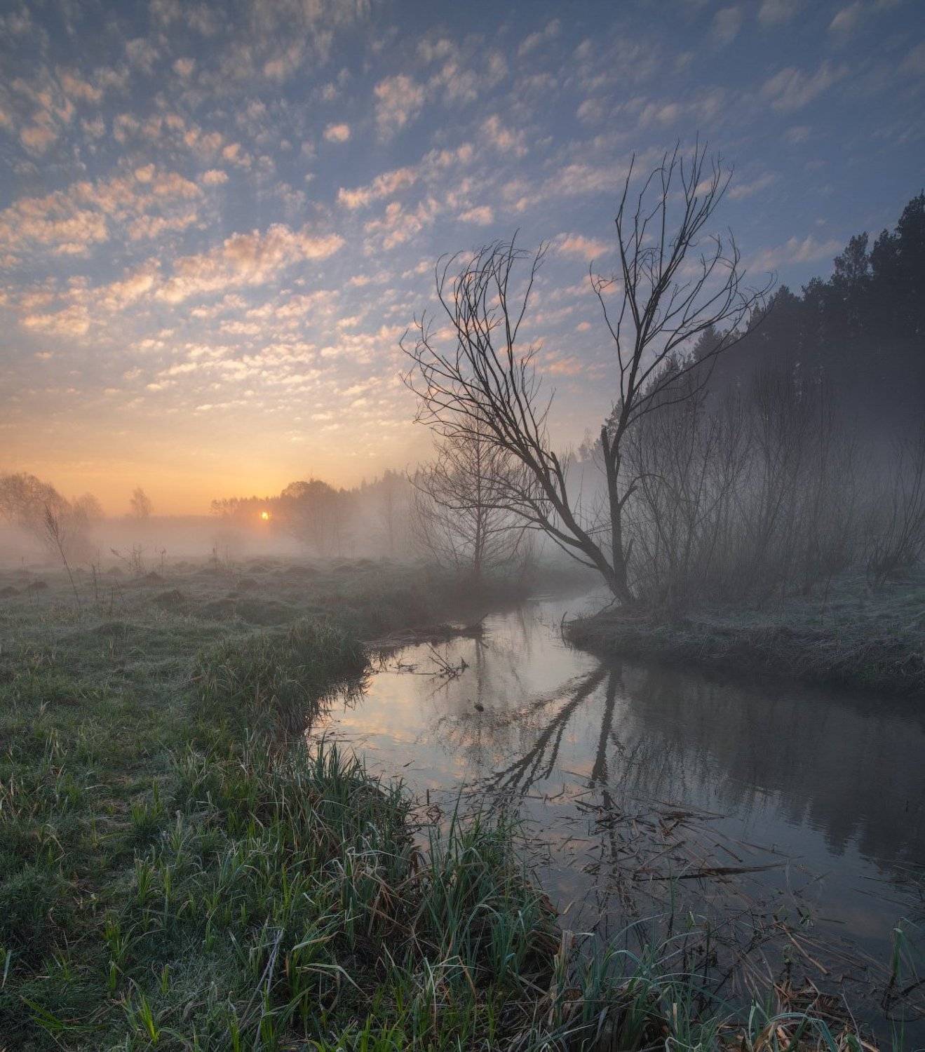 , Сергей Добровольский