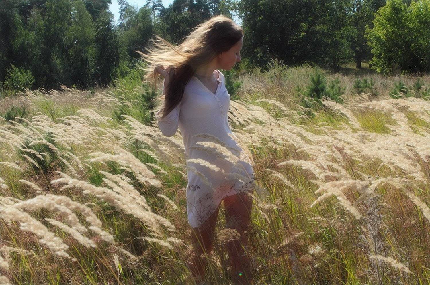 , Владимир Краснов