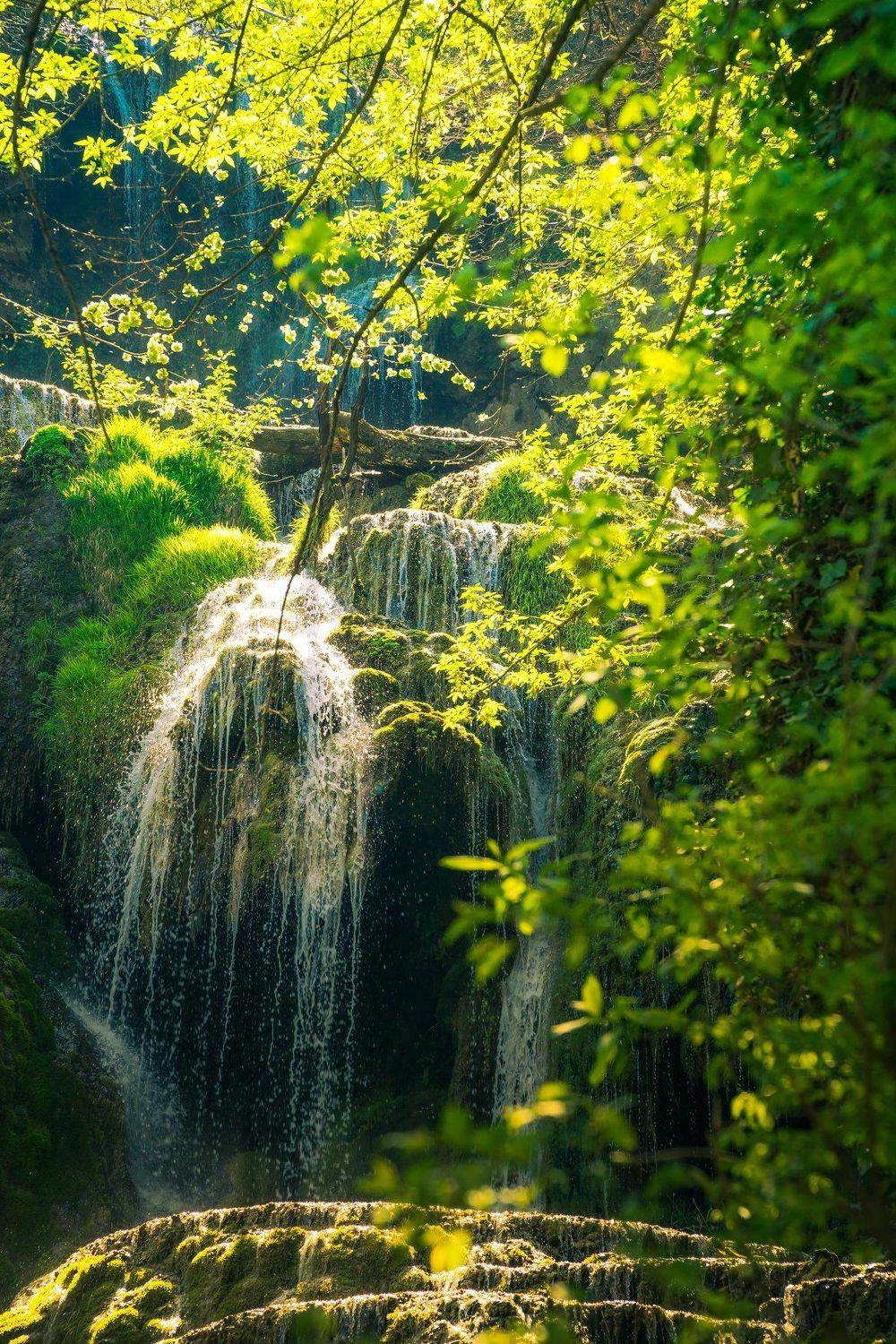 sony a6000, Tihomir Petkov