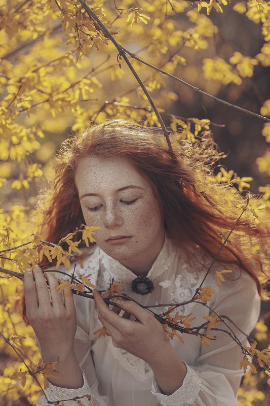 35mm, 4x5, 6x6, 6х6, 85mm, Art, Art nude, Ballerina, Ballet, Battur, Beautiful, Beauty, Canon, Canon 5D Mark III, Car, Color, Dance, Dress, Emotion, Eyes, Face, Flowers, Ganzo, Genre, Girl, Hair, Hero, Irinadzhul, Light, Lilac, Model, Mongol, Mongolia, Mo  фото превью