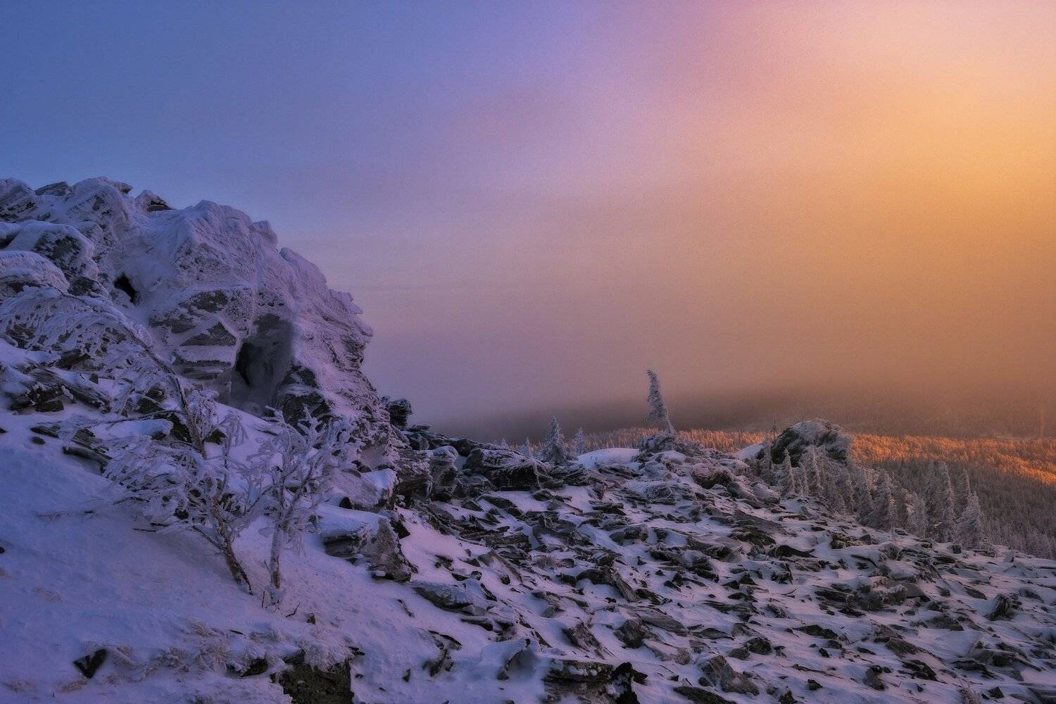 , Андрей Шарапов