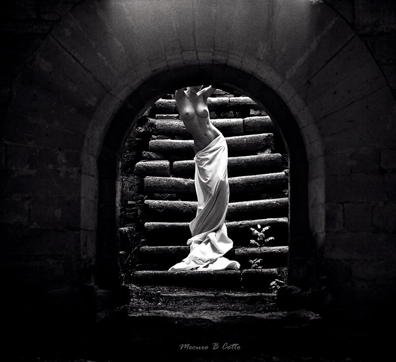 mecuro mecurobcotto cotto mecurocotto *** фото превью