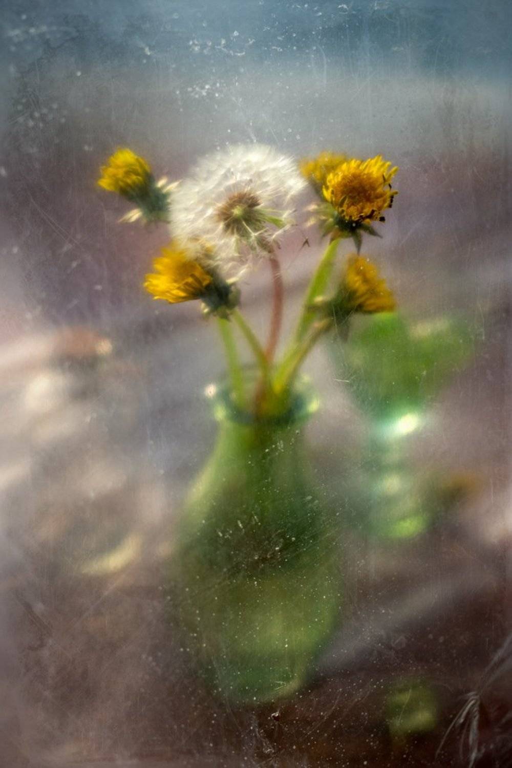 весна, тепло, вестник, одуванчик, цветы, натюрморт, Анна Иванова