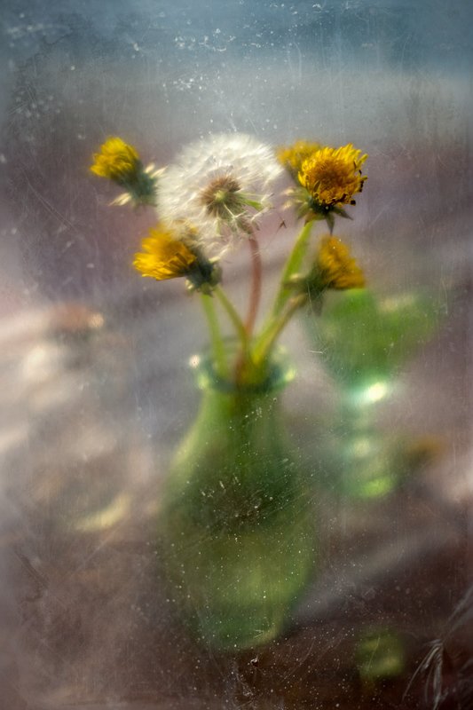 Вестник весны фото превью