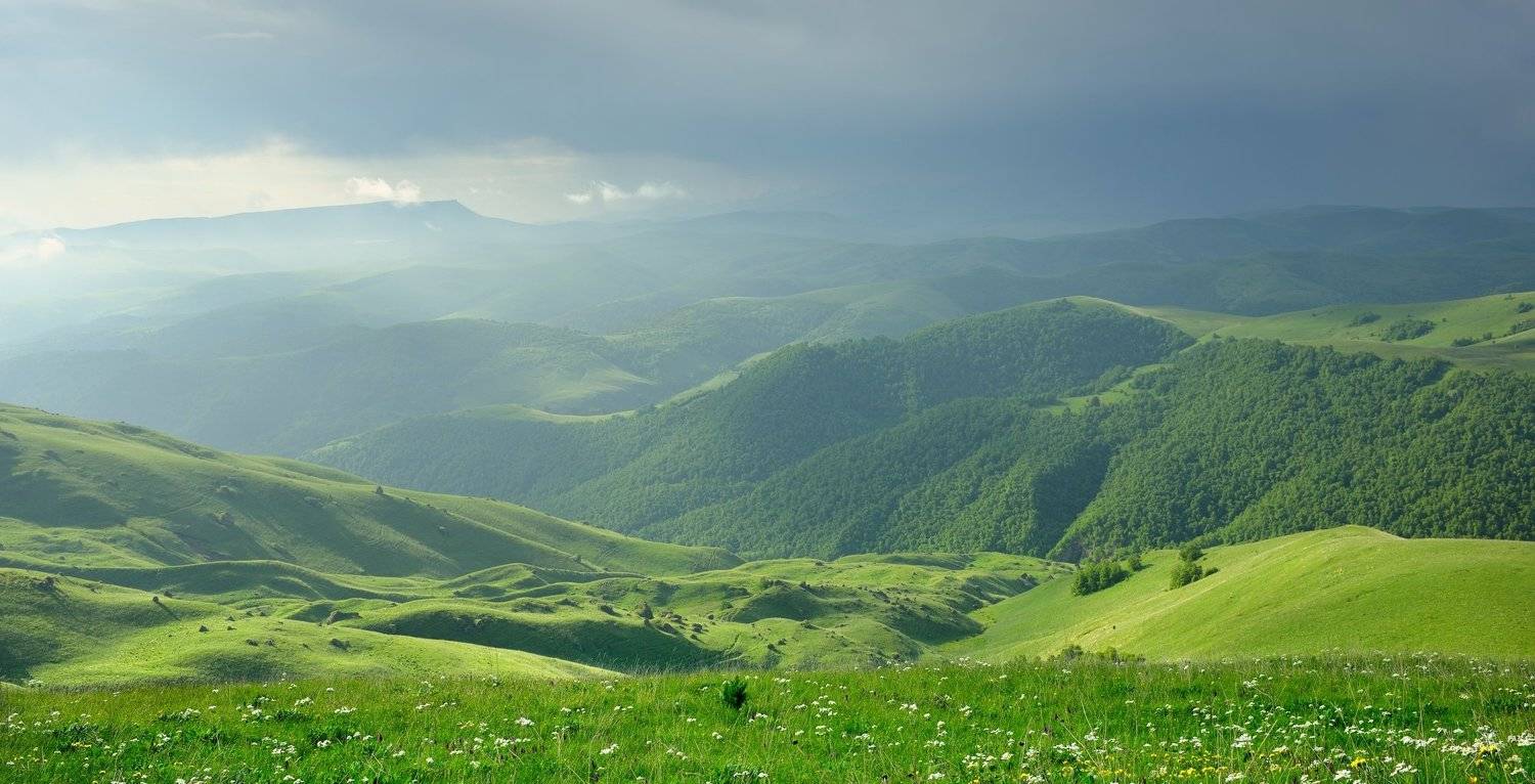 горы лето утро, Александр Жарников