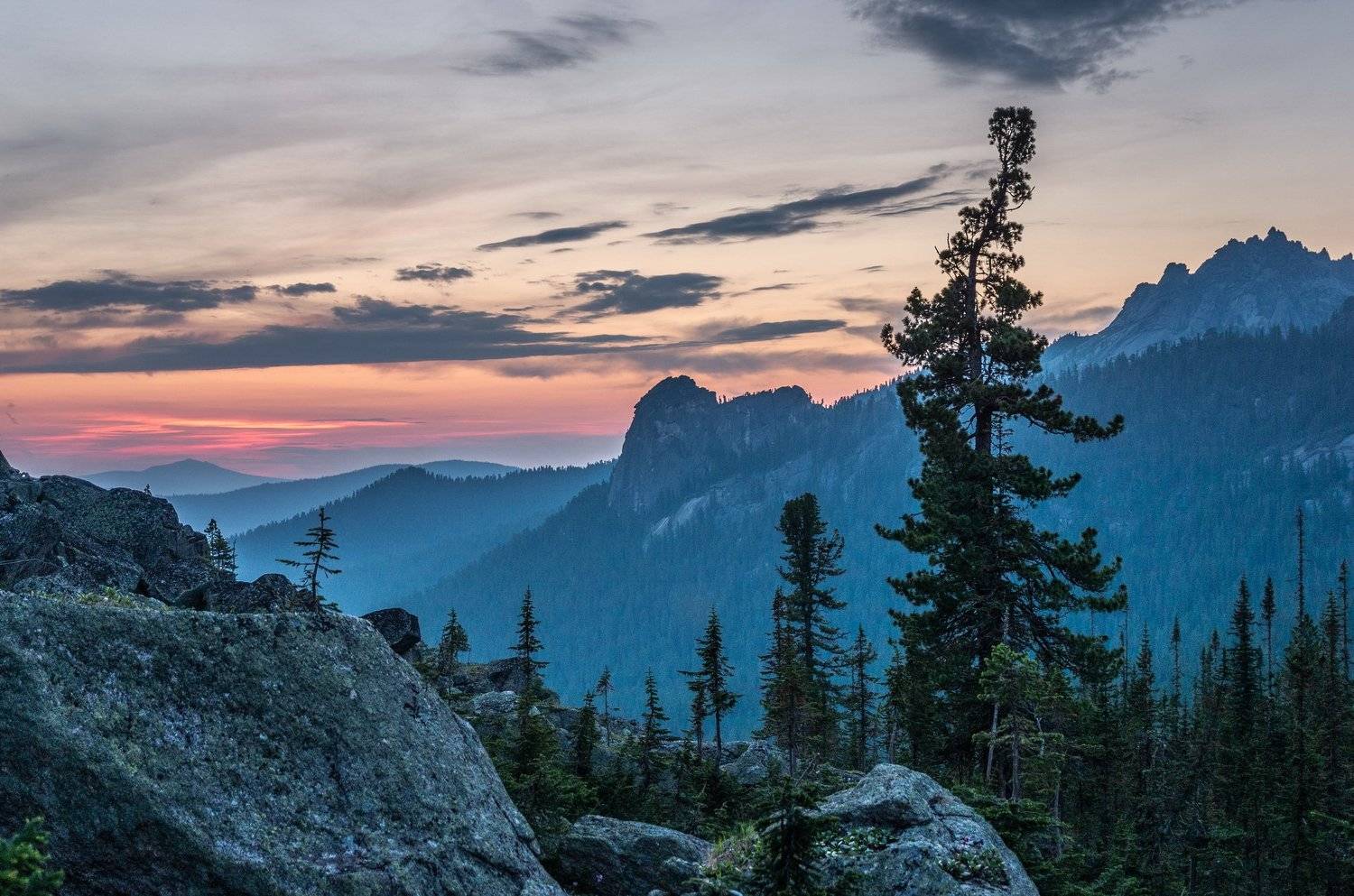 горы, сибирь, саяны, западный саян, ергаки, закат, ник васильев, сумерки, дерево, кедр, Николай Васильев