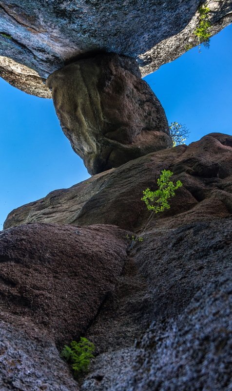 сибирь, красноярск, столбы, заповедник, скала, сила жизни, ник васильев, красота, каменный человек, львиные ворота Что, не узнали?.. фото превью