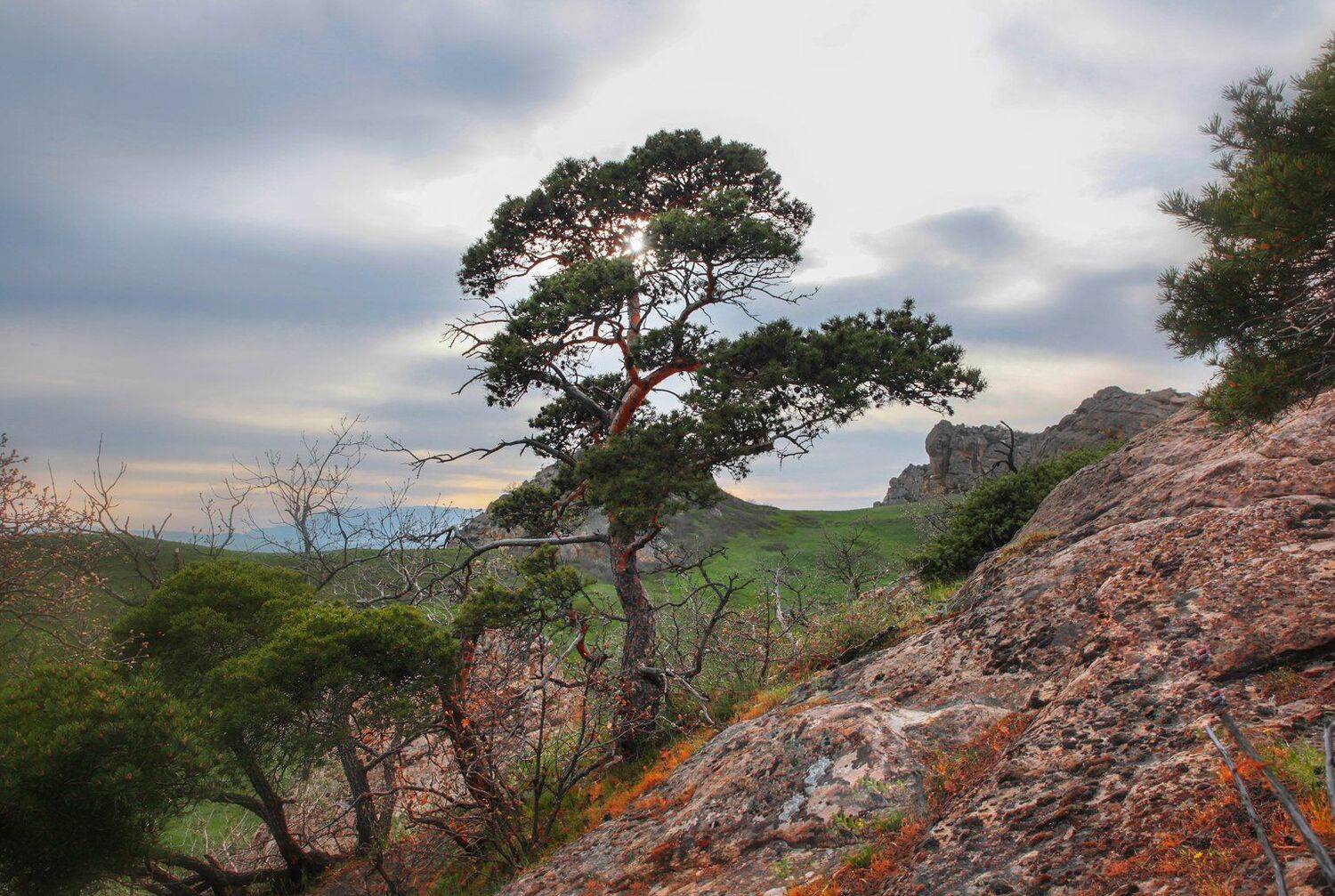 горы,весна,просторы,дагестан, Marat Magov