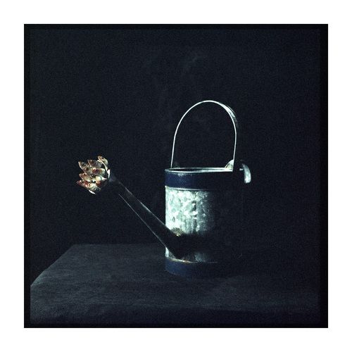 Maxina Ex Deo (Triptych)